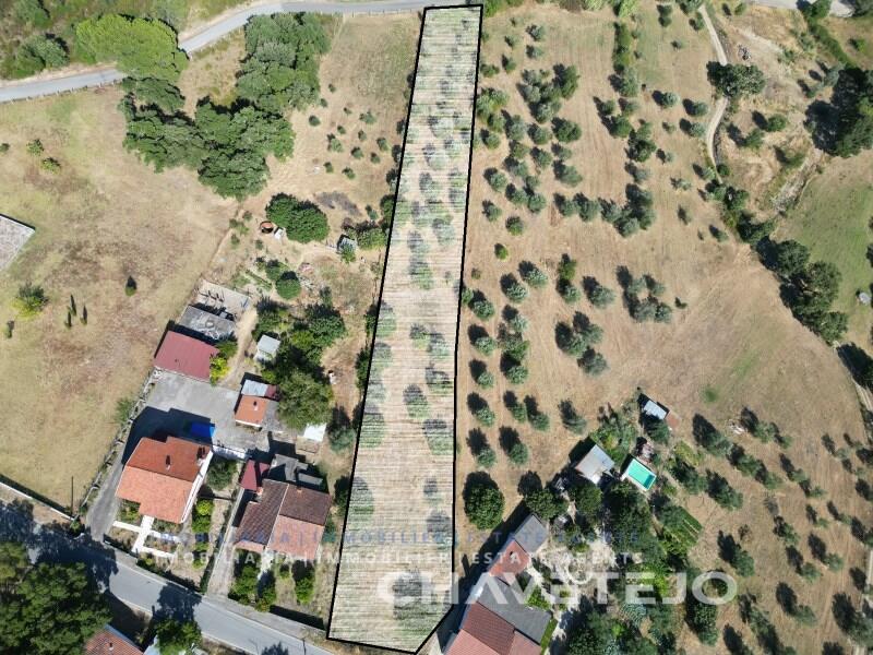 Main image of property: Ribatejo, Tomar