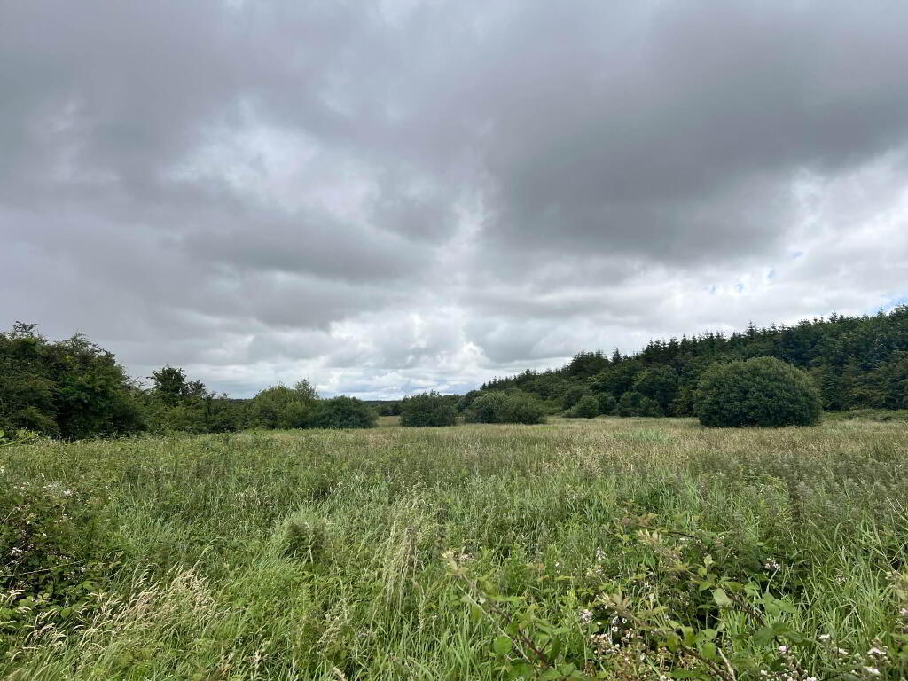 Main image of property: Approx, 4.77 Ha (11, 8 Acres), Ballincurry, Castlerea