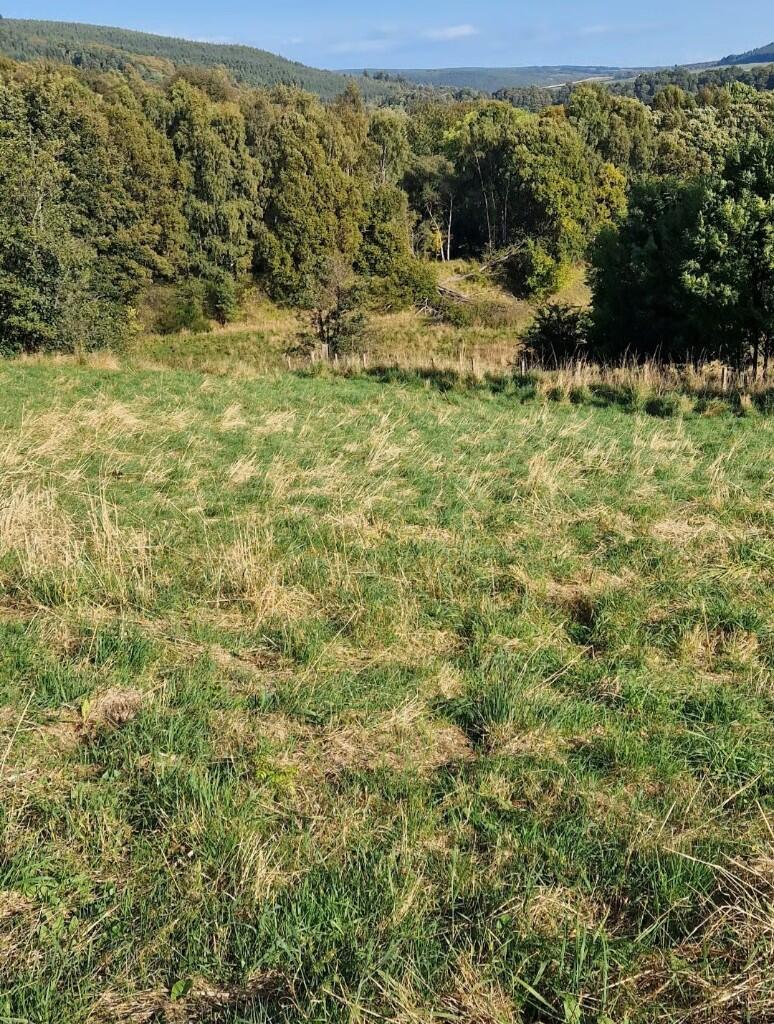 Additional image 6 of Building Plot At Hillside House, Rothes, Aberlour, Moray, AB38 7AQ