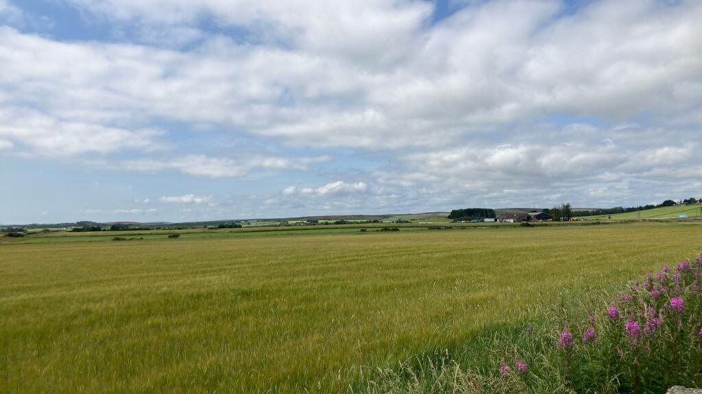 Main image of property: Muchalls Farms (Greenheads & Cantlayhills), STONEHAVEN, AB39 3PL