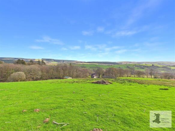 Field and views