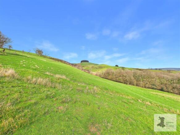 Field and views