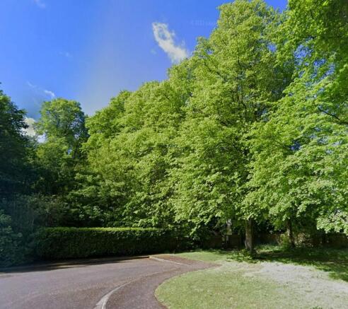 Bawtry Hall Woodland photo from Richmond Lane.jpg