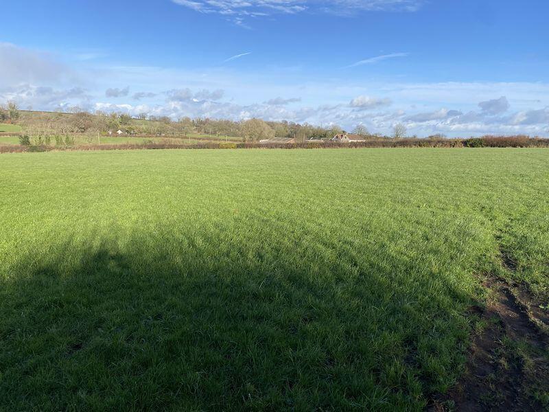 Lot 2 - 11.72 acres at Christone Cross, Totnes - More