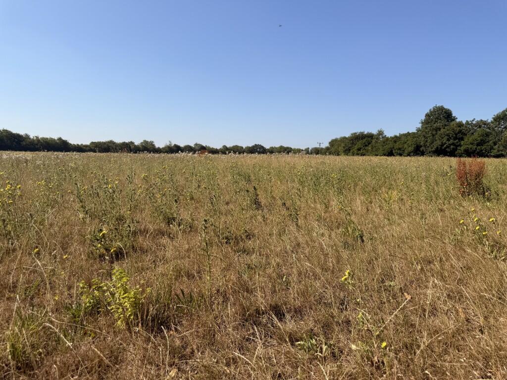 Main image of property: Woodgates End, CM6