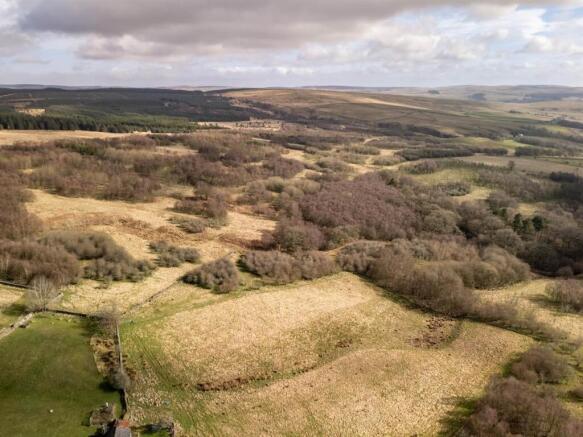 DJI_20260317103859_0214_D (1).jpg