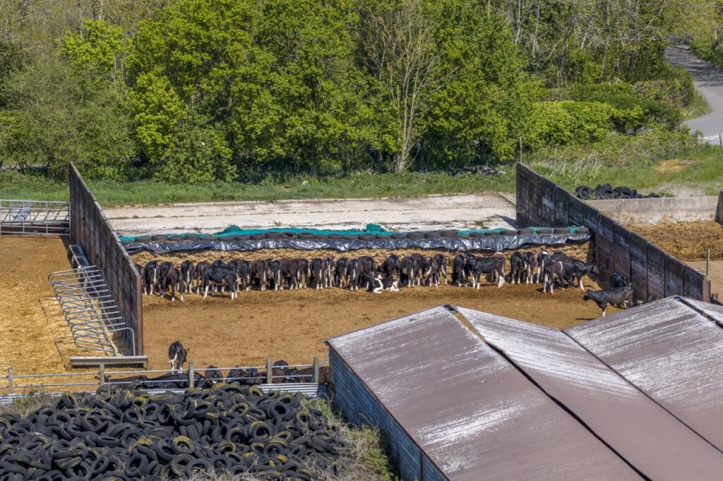 Highlands Farm