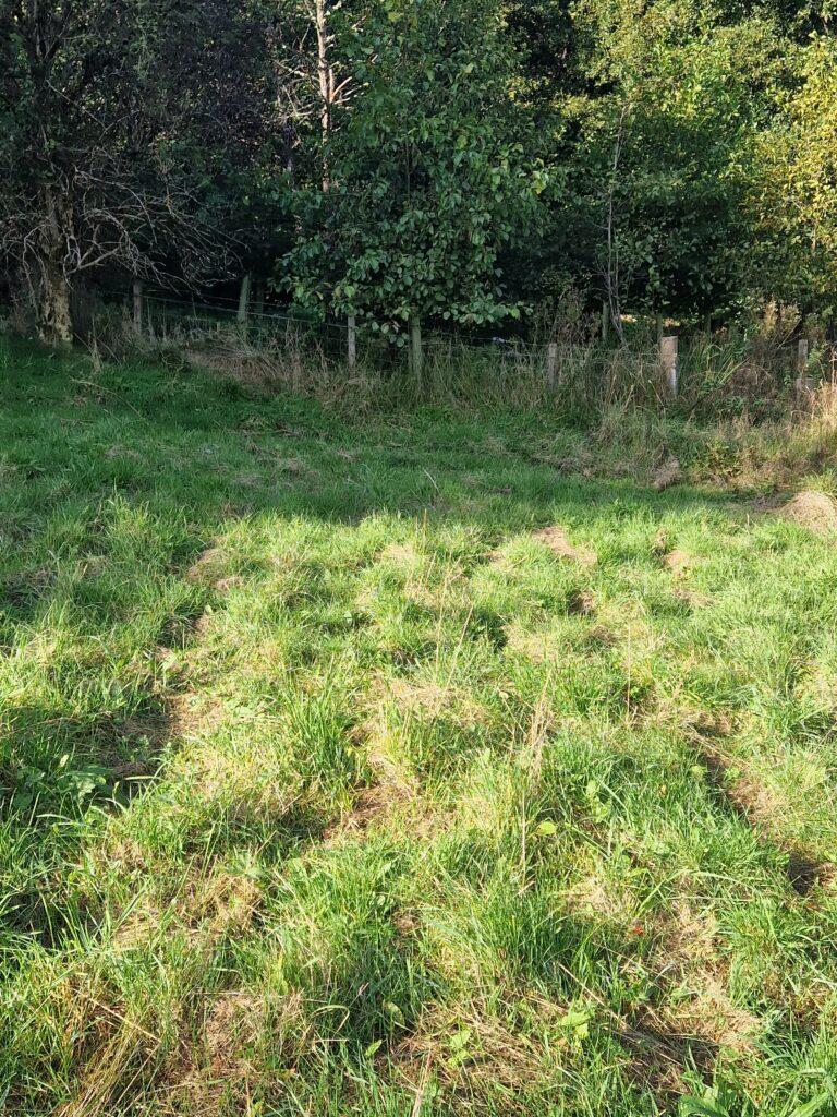 Building Plot At Hillside House, Rothes, Aberlour, Moray, AB38 7AQ photo 4