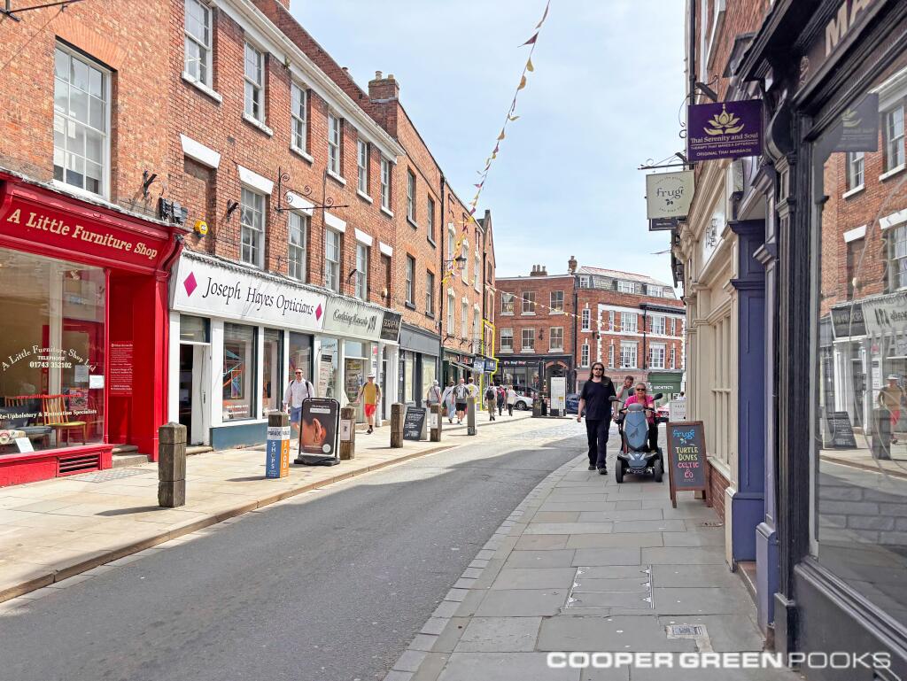 Street view down Wyle Cop.jpg