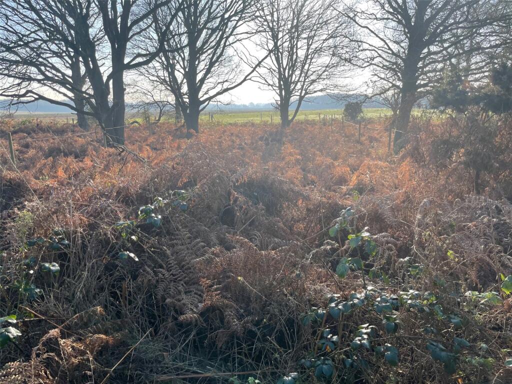 Foxburrow Farm, Ipswich Road, Brightwell, IP10 photo 2