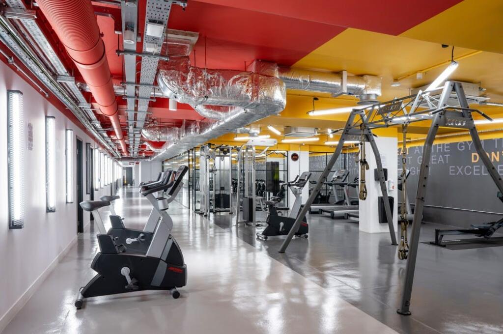 Tricorn - Gym2.jpg