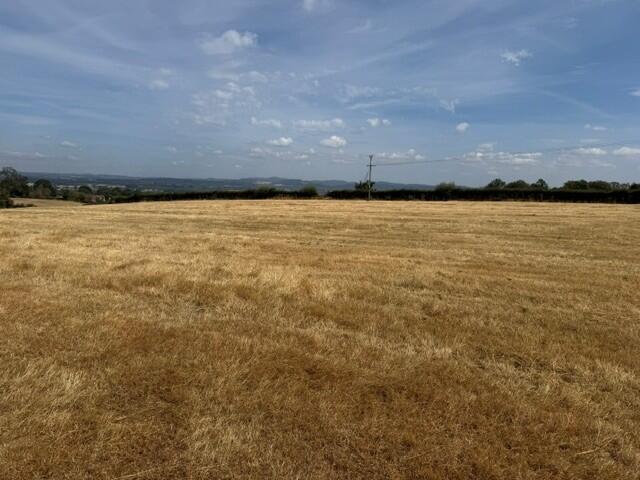 Land At Much Marcle - View 2