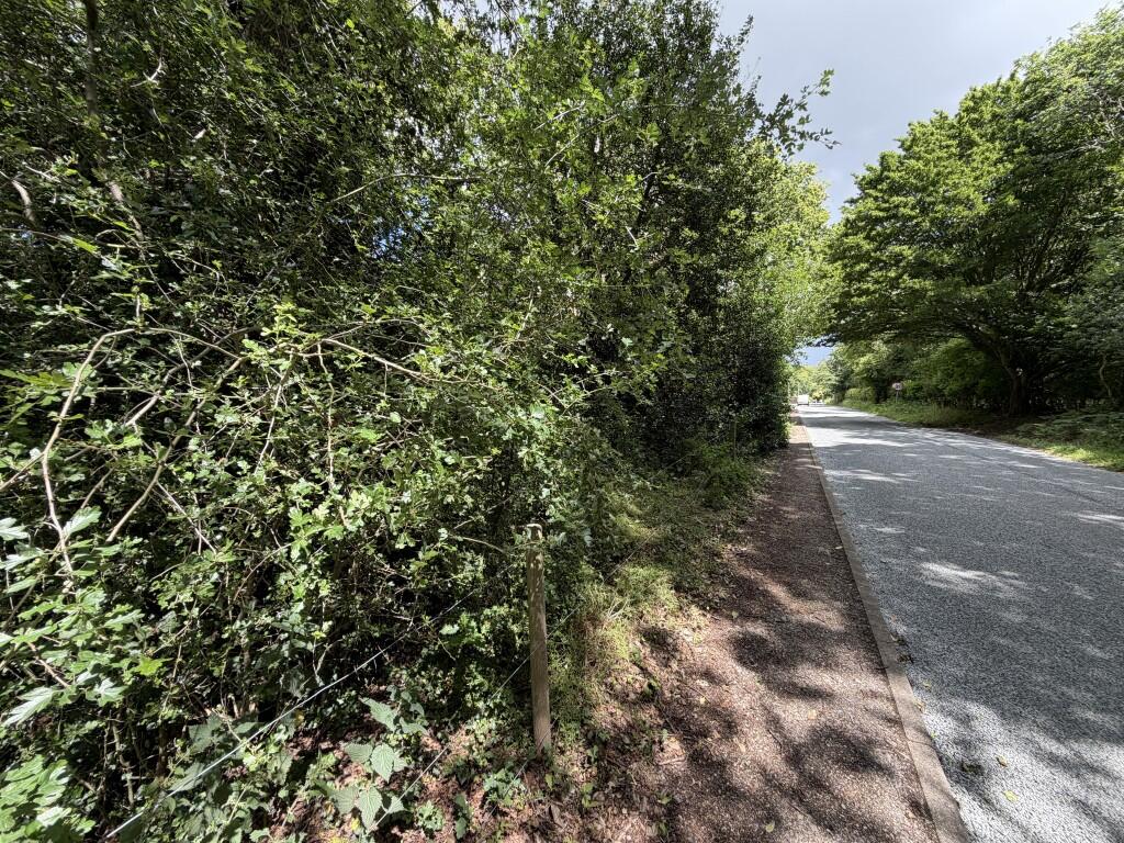 The Surveyors Pit, Gressenhall Road, Gressenhall, Dereham, Norfolk NR20 4HF - View 5