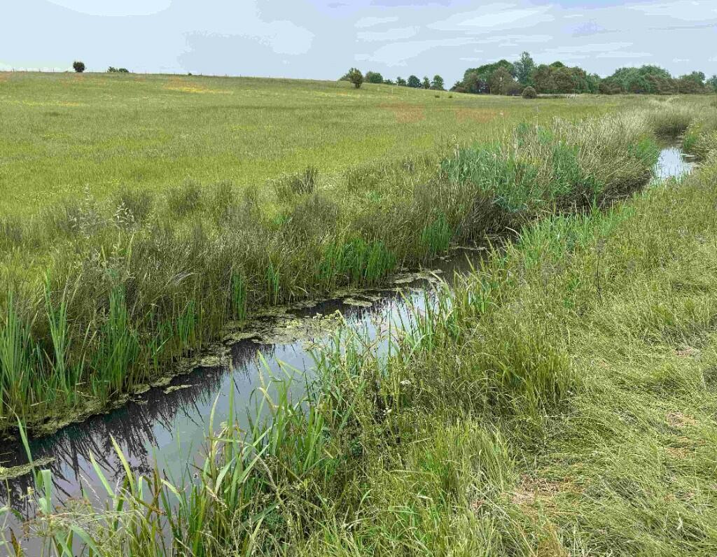 Farm land for sale in Peelings Marsh, Near Eastbourne BN24 - View 4