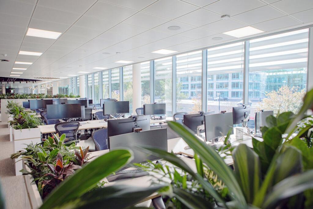 No5Workspace4.jpg