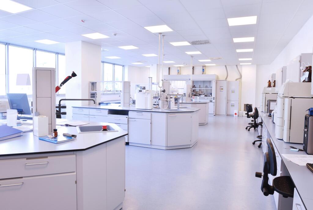 Lambourn Lab 1.jpg