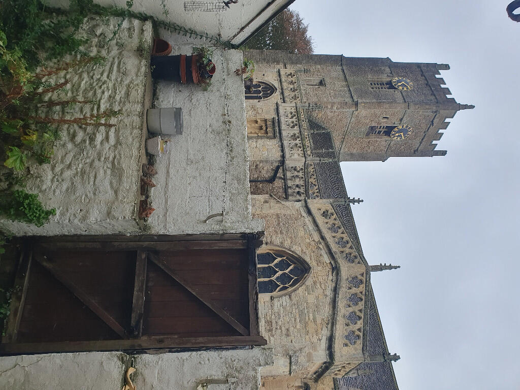 back gate