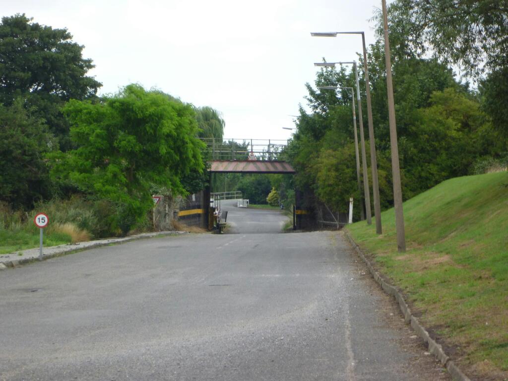 P1000248.JPG