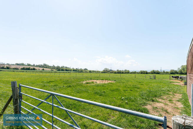Field