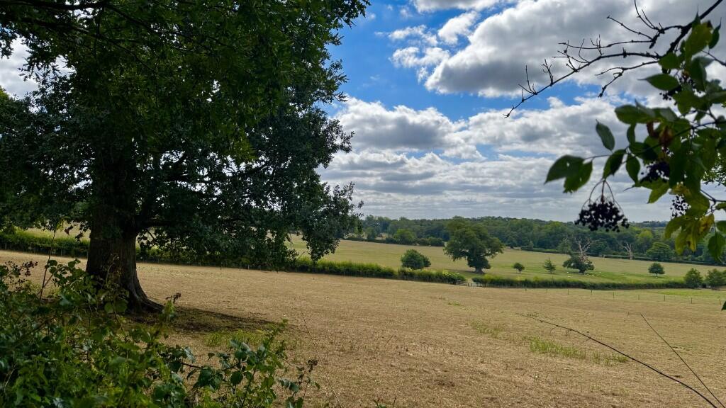 Additional image 28 of Redlynch Park, Redlynch, Bruton, Somerset, BA10 0NH