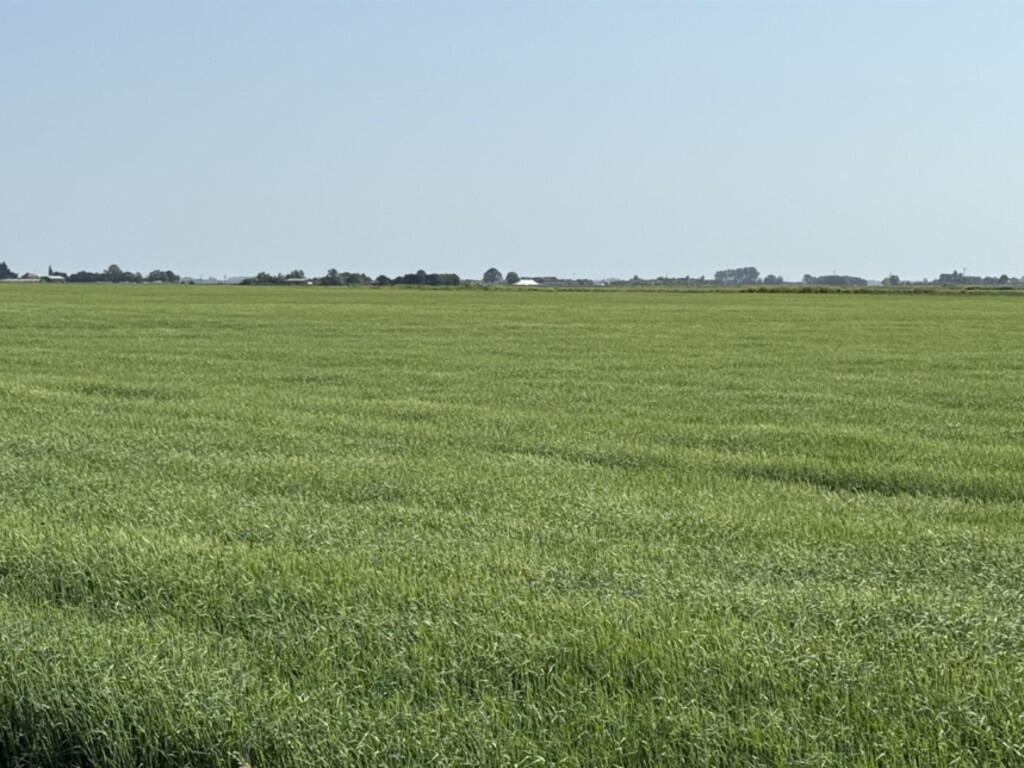 Main image of property: Lambs Hill Drove and Stow Fen Drove, March