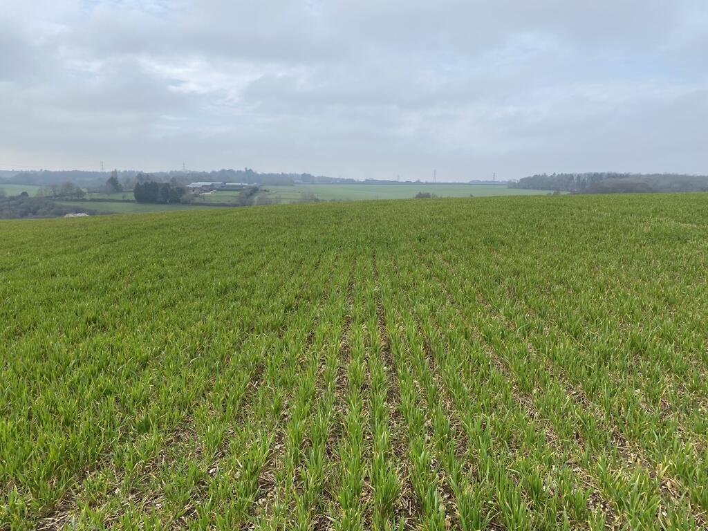 Main image of property: Arable Land At Queens Head, Whieldon Gate, Amersham, Buckinghamshire, HP7 0NE