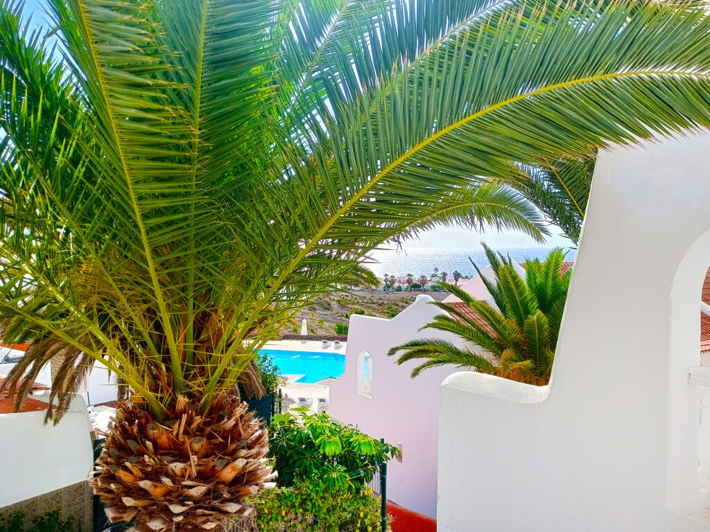 Main image of property: Canary Islands, Tenerife, Golf del Sur