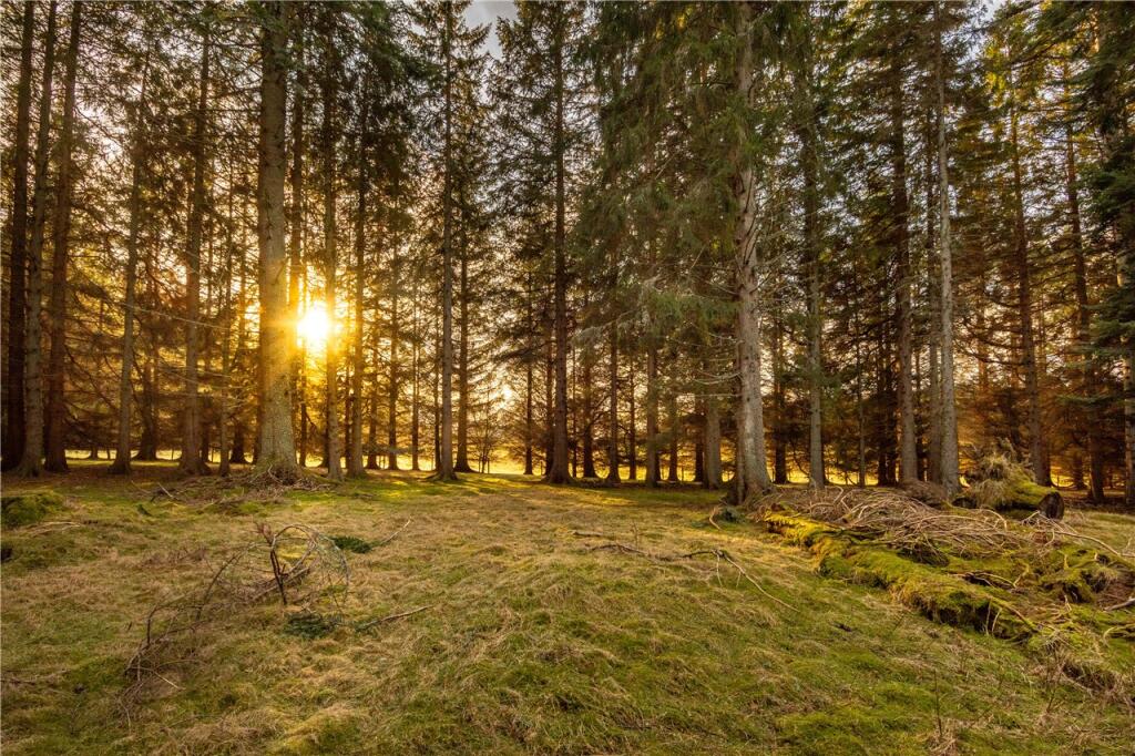 Additional image 5 of Land At Tom Meann, Bridge of Gairn, Ballater, Aberdeenshire, AB35