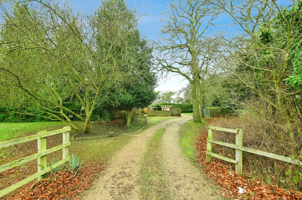Main Road, West Bilney, King's Lynn, Norfolk, PE32 photo 4