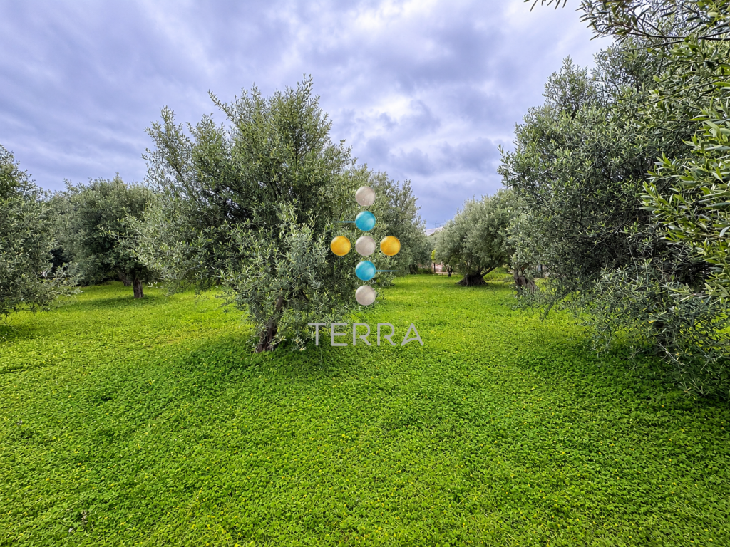 Main image of property: Crete, Rethymnon