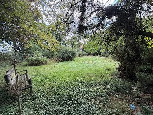 Woodmans Lodge and Annexe, 38 The Street, Ashwellthorpe, Norfolk NR16 1HD photo 3