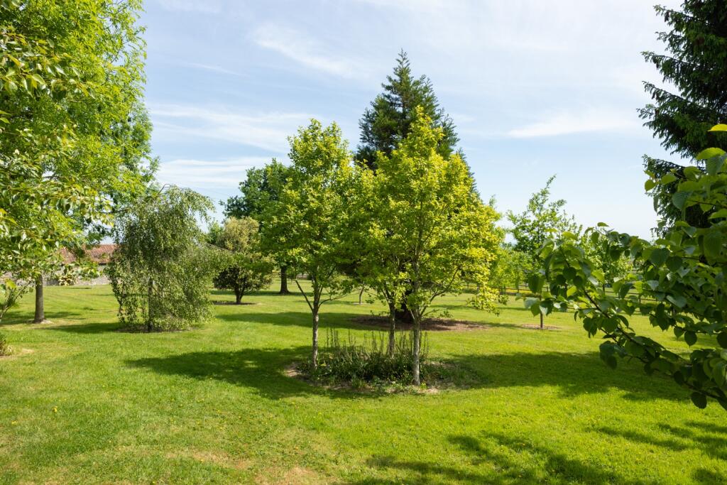 Additional image 17 of Butleigh, Glastonbury