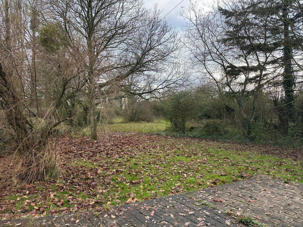 Additional image 13 of Tuckers Lane, Baltonsborough