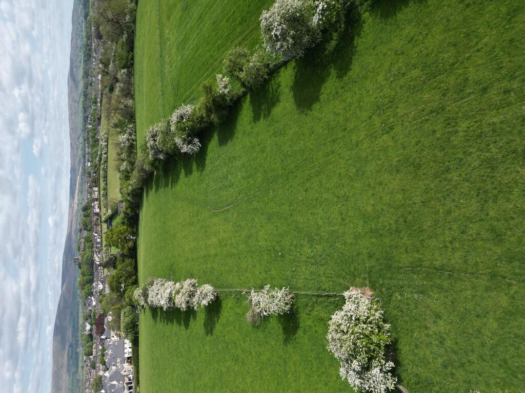 Land for sale in Back Commons, Clitheroe, Lancashire, BB7 - Widok 6