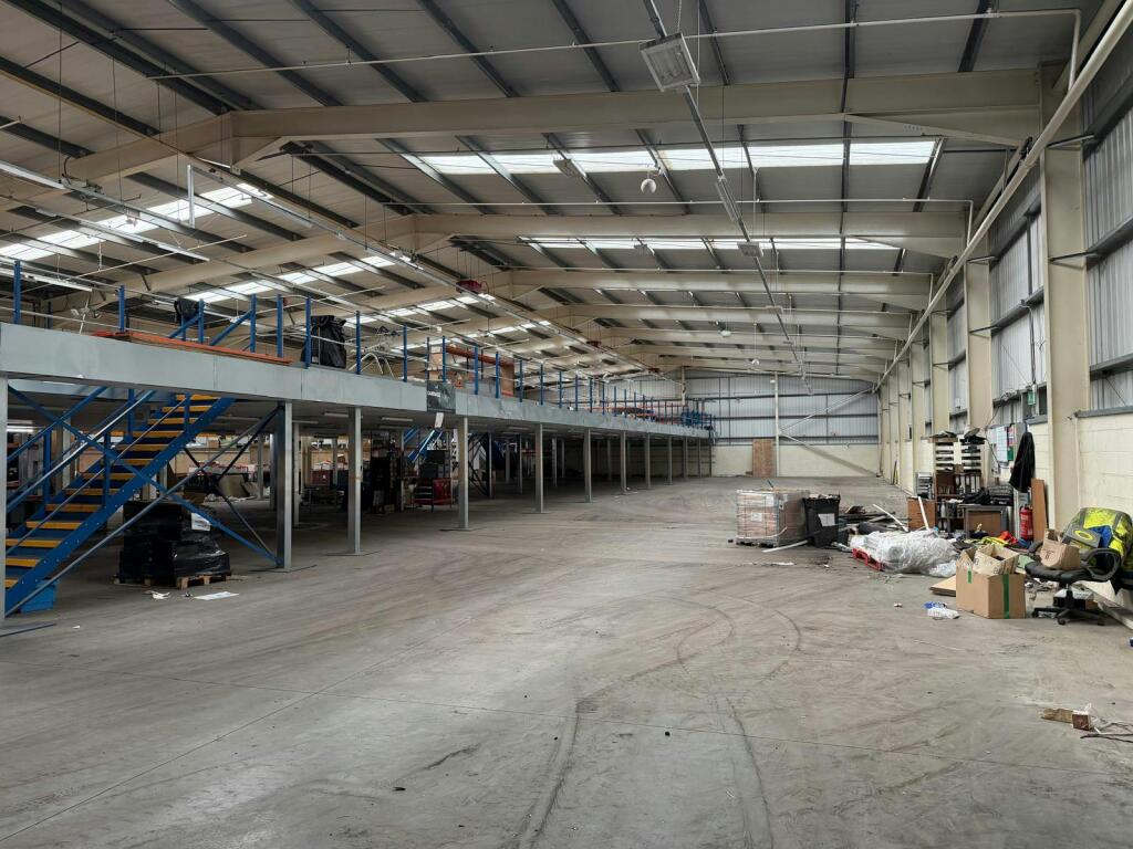 p10.jpg