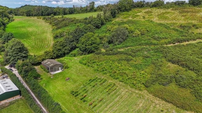 Drone View