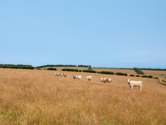 Combe Park