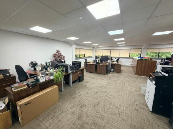 IMG_5597.JPEG