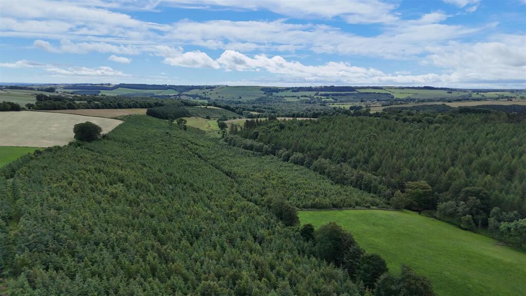Main image of property: Sawmill Wood, Lanchester