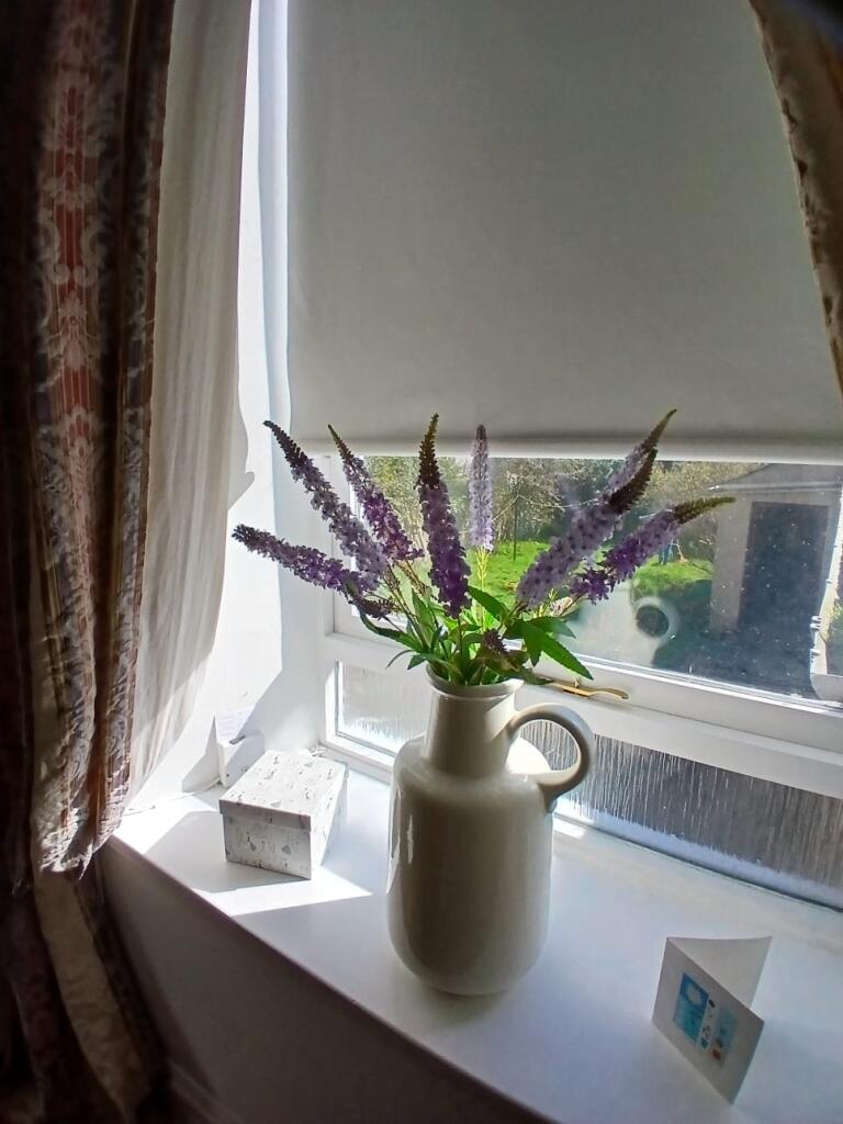 Apartment in Aberdeen - More