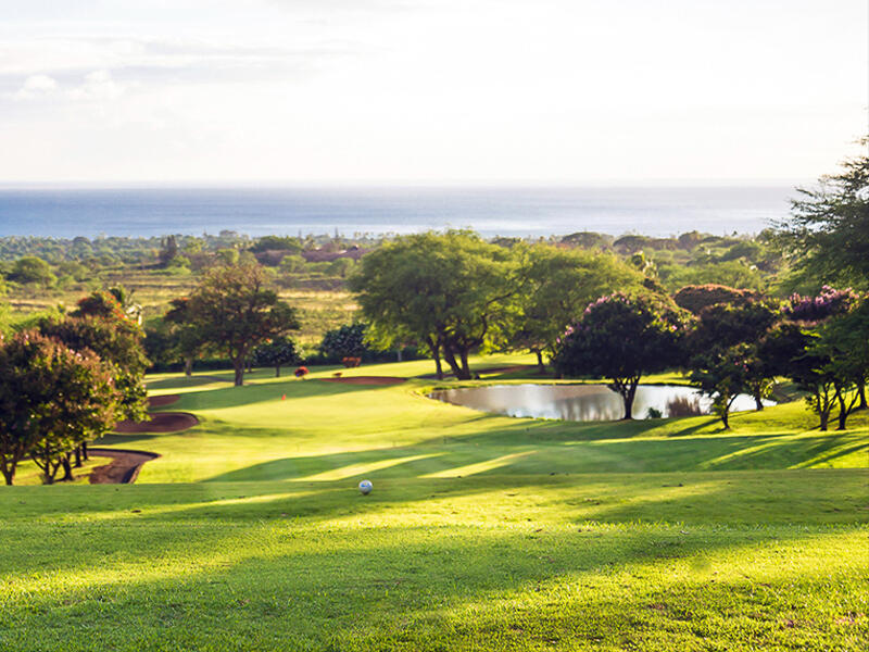 Main image of property: Balearic Islands, Mallorca, Capdepera