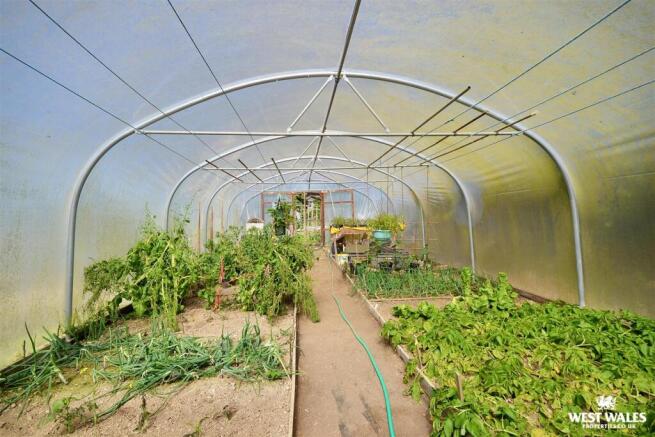 Polytunnel