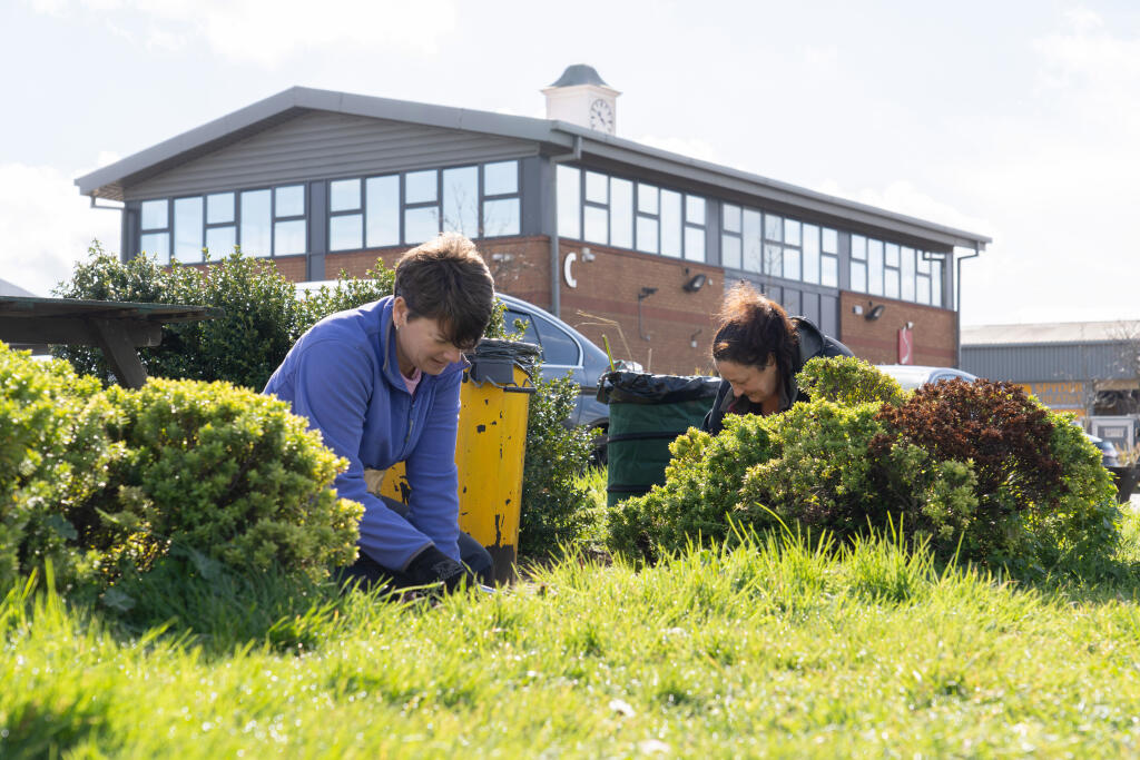 Onsite landscaping