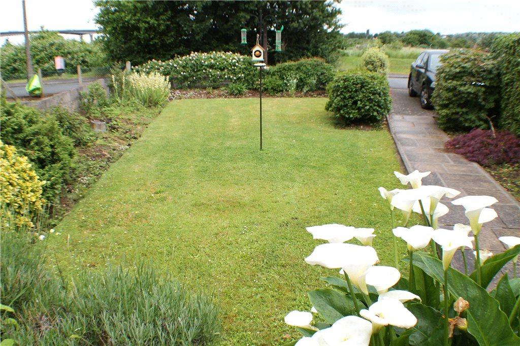 Photo of the property