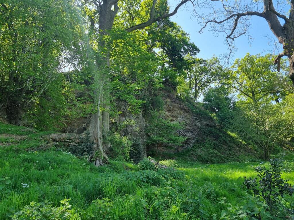 4.14 acres of Land adjoining Little Grimmer, Minsterley, Shrewsbury, SY5 0DP - View 4