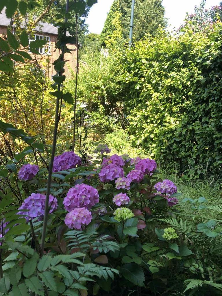 Additional image 19 of North Pathway, Harborne, Birmingham, B17 9EJ