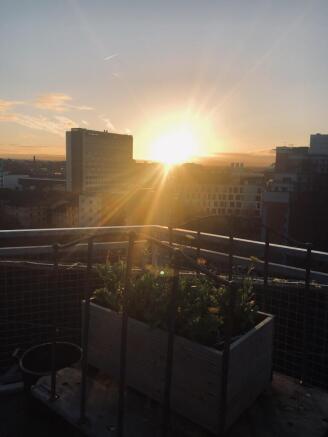 Work sunrise