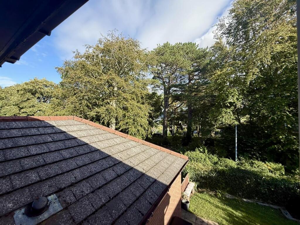 Rhodfa Sychnant, Conwy photo 4