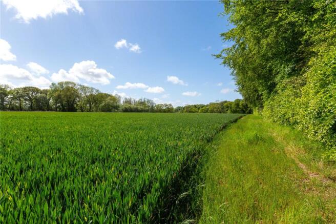 Land - Lot 3