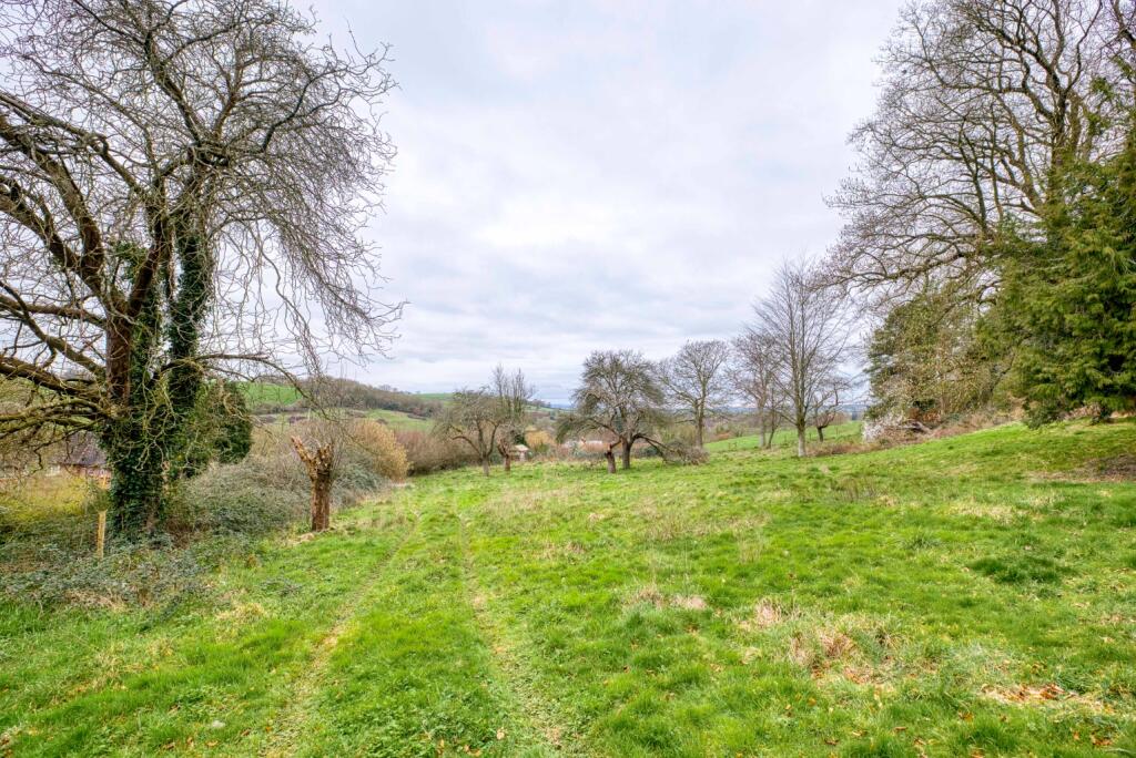 Additional image 18 of Bruton